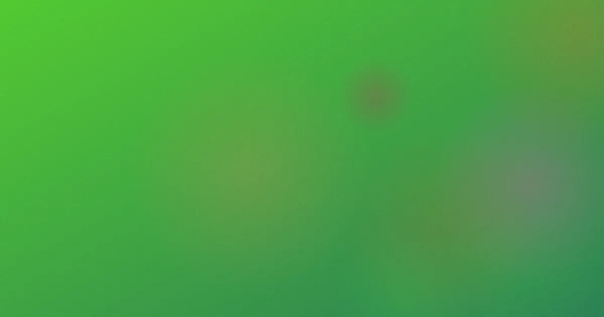 东方神娃推荐：新手对比看